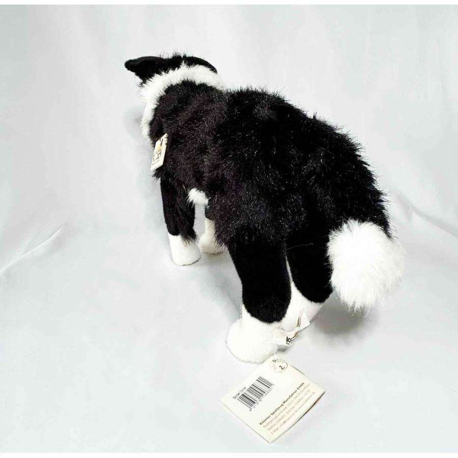 ケーセン ボーダーコリー KOSEN Koesen Border Collie dog 犬の