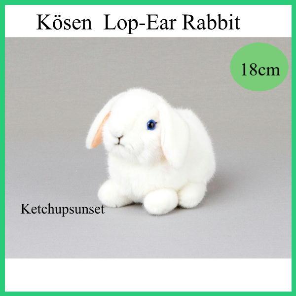 ケーセン うさぎ KOSEN Koesen White Young Dwarf Lop Rabbit うさぎの