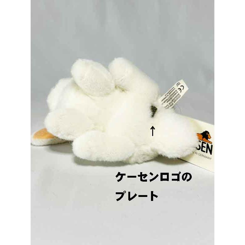 ケーセン うさぎ KOSEN Koesen White Young Dwarf Lop Rabbit うさぎの