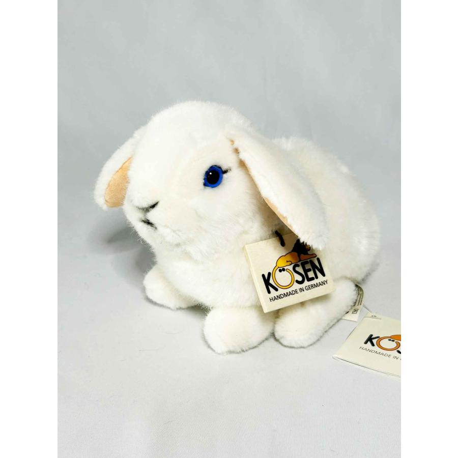 ケーセン うさぎ KOSEN Koesen White Young Dwarf Lop Rabbit うさぎの