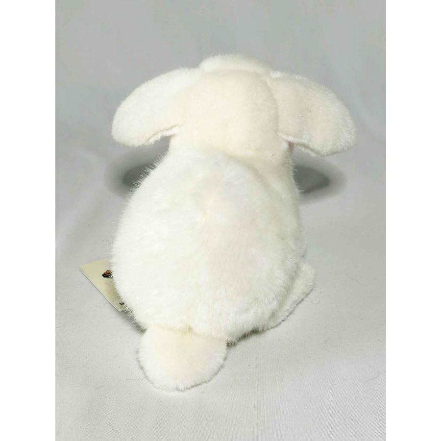 ケーセン うさぎ KOSEN Koesen White Young Dwarf Lop Rabbit うさぎの