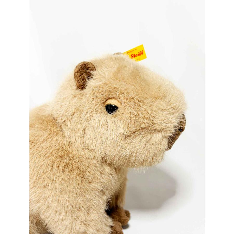 Steiff（シュタイフ） テディベア カピバラのチップ Chip Capybara 23