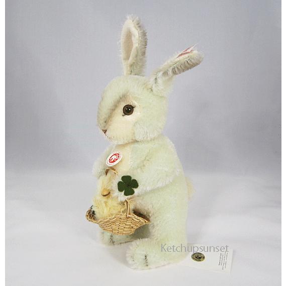 teddy rabbit for sale