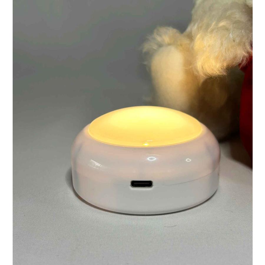 Steiff（シュタイフ） Steiff Santa Teddy Bear with light 2025年世界