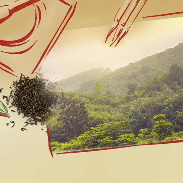 ユリウスマインル（Julius Meinl）グリーン・ジャスミン【88588】ティーバッグ25個 88588TEEBLATT TOKYO