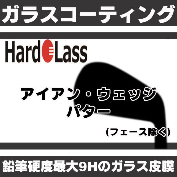 ガラスコーティング ハドラス 　アイアンヘッド コーティング 加工　工賃　※別途送料必要　※コーティング剤のみの販売不可 | ブランド登録なし