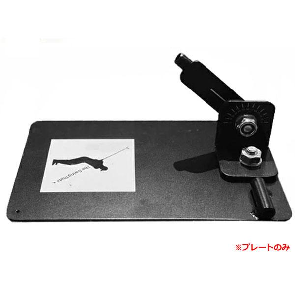 スウィングプレート THE SWING PLATE プレートのみ 爆買 : ティー