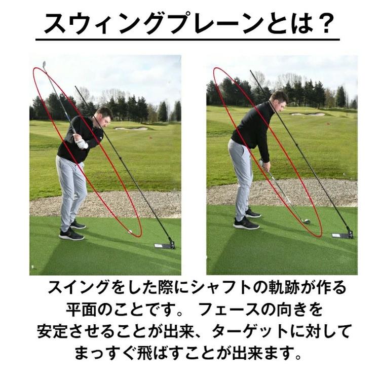 スウィングプレート THE SWING PLATE プレートのみ 爆買 : ティー