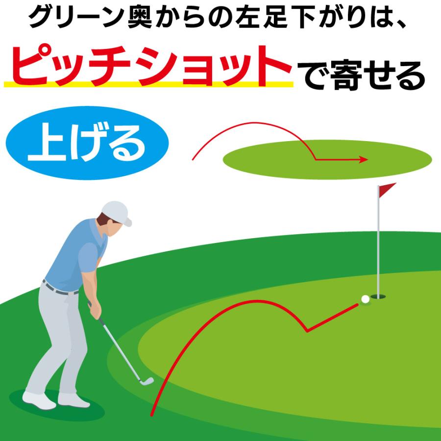kasco（キャスコ） ヘッド単体 Kasco DOLPHIN FLYING WEDGE DFW-225(55
