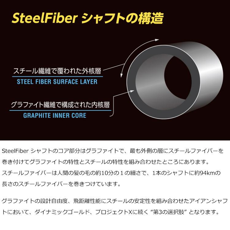 TRUE TEMPER（トゥルーテンパー） 日本正規品 AEROTECH SteelFiber
