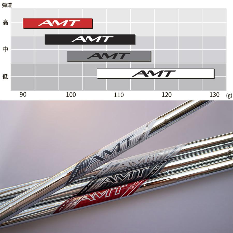 TRUE TEMPER（トゥルーテンパー） TRUE TEMPER 2025年モデル AMT
