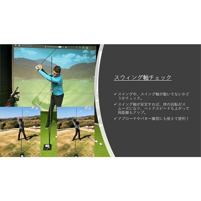 Lynx（リンクス） THE SWING PLATE ザ・スウィングプレート ベース本体