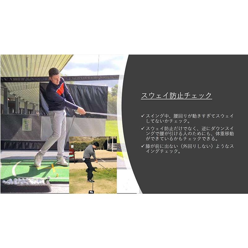Lynx（リンクス） THE SWING PLATE ザ・スウィングプレート ベース本体