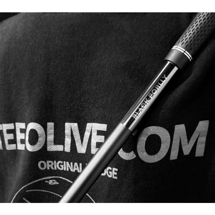 しなり感ゼロ BLACK FORLLY ASSIST STICK ブラック フォーリー