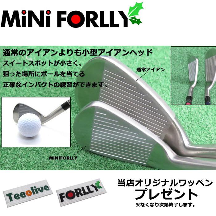 ボールを打てるスイング練習アイアン mini FORLLY 各番手にFLEX SOLUTIONを装着 フレックスソリューション |  | 01