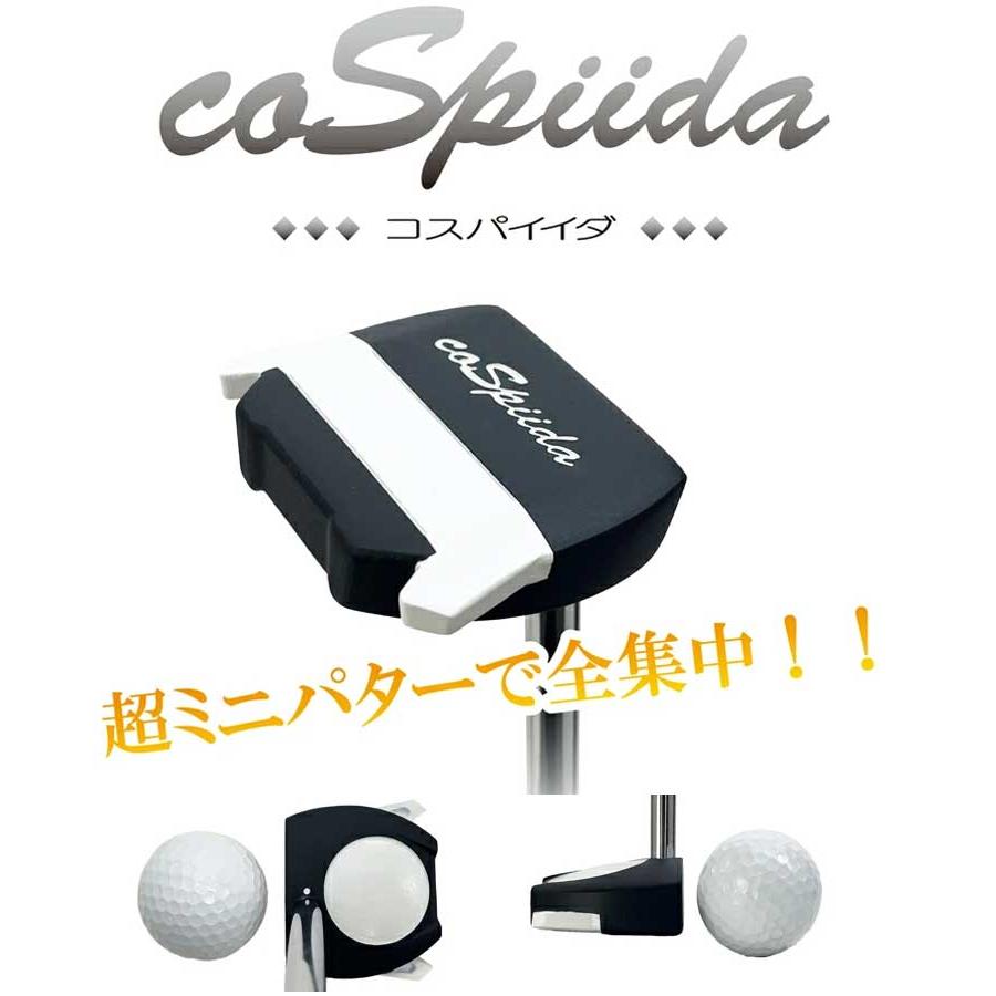 Lynx（リンクス） コスパイイダ cospiida パター ミニパター パター