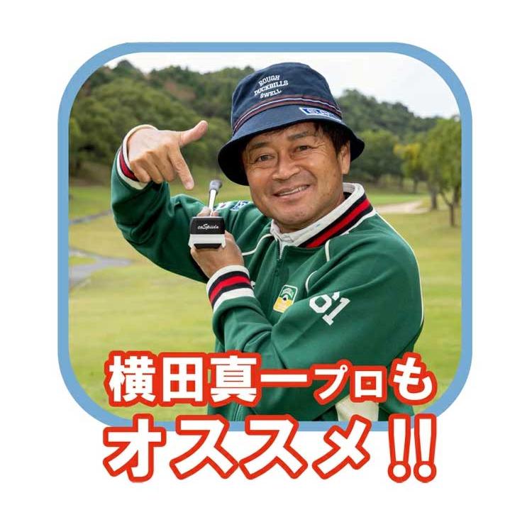 Lynx（リンクス） コスパイイダ cospiida パター ミニパター パター