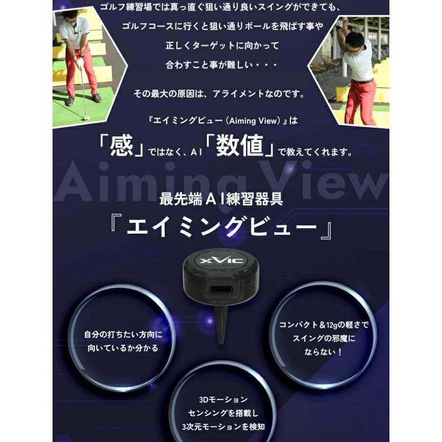 XVIC エックスビック エイミングビュー ゴルフアライメント アドレス
