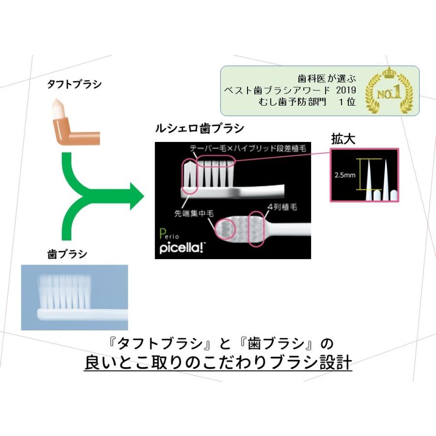 ピセラ ジーシー ルシェロ B-20M [ピセラ] /GC : TEETH TEETH MARKET