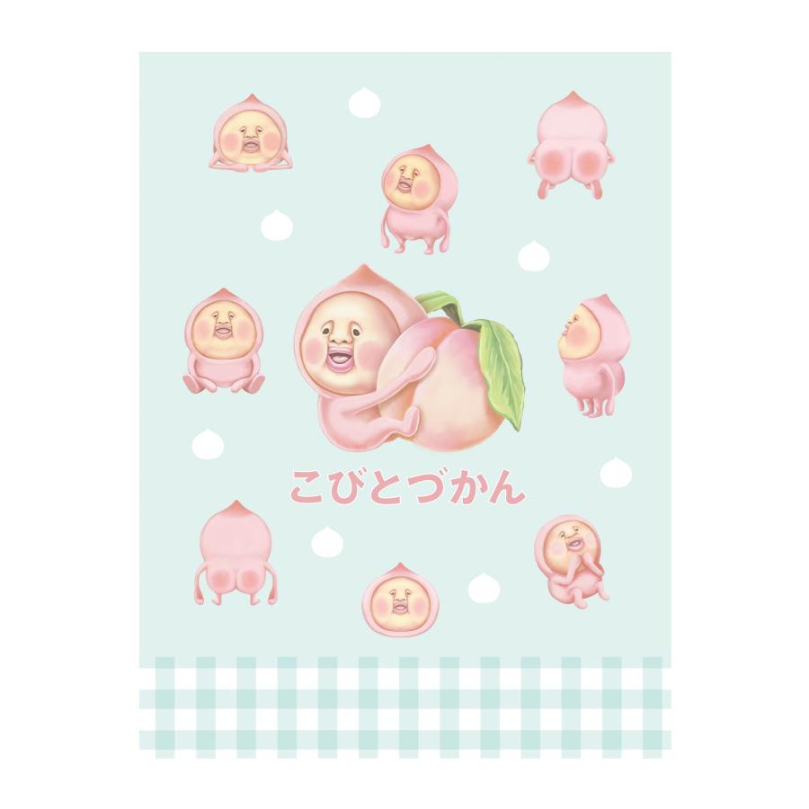 Q-LiA（クーリア） バインダー マイシールバインダー こびとづかん