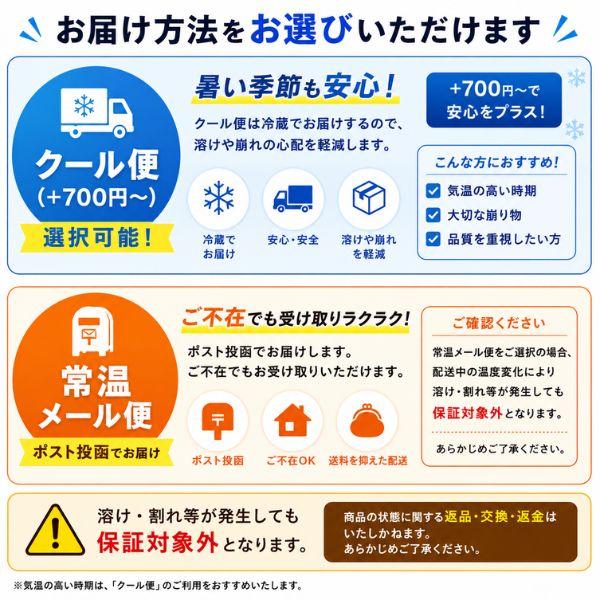 大塚製薬 カロリーメイト ブロック アソート 5種  チーズ フルーツ チョコ メープル バニラ バランス栄養食 非常食 備蓄 防災