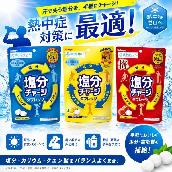 Kabaya 【100粒】カバヤ 塩分チャージ タブレッツ スポーツドリンク 大