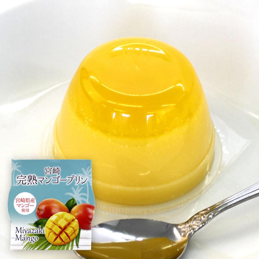 21セール 宮崎完熟マンゴープリン1個 バラ売り 常温 ゼリー デザート Wantannas Go Id