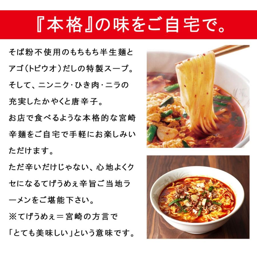超新作 本格宮崎辛麺 5袋セット 半生麺 ご当地グルメ ラーメン インスタント レトルト ケンミンショー 辛麺 からめん 発売開始1年で4万食突破 Babylonrooftop Com Au