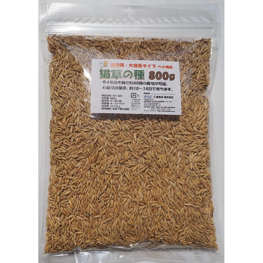 仁達食品 猫草の種 大容量タイプ800g入り 約1．3L（農薬未使用