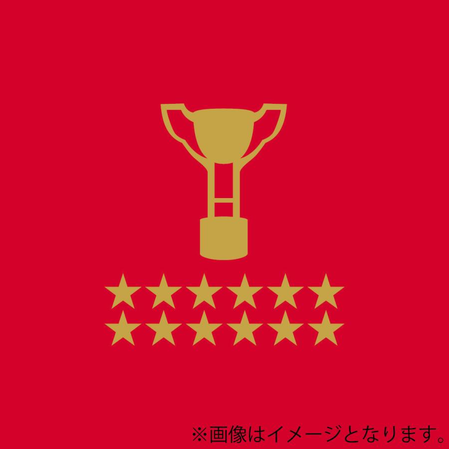 UNDER ARMOUR 帝京大学 第60回全国大学ラグビーフットボール UNDER ARMOUR 帝京大学 第60回全国大学ラグビーフットボール