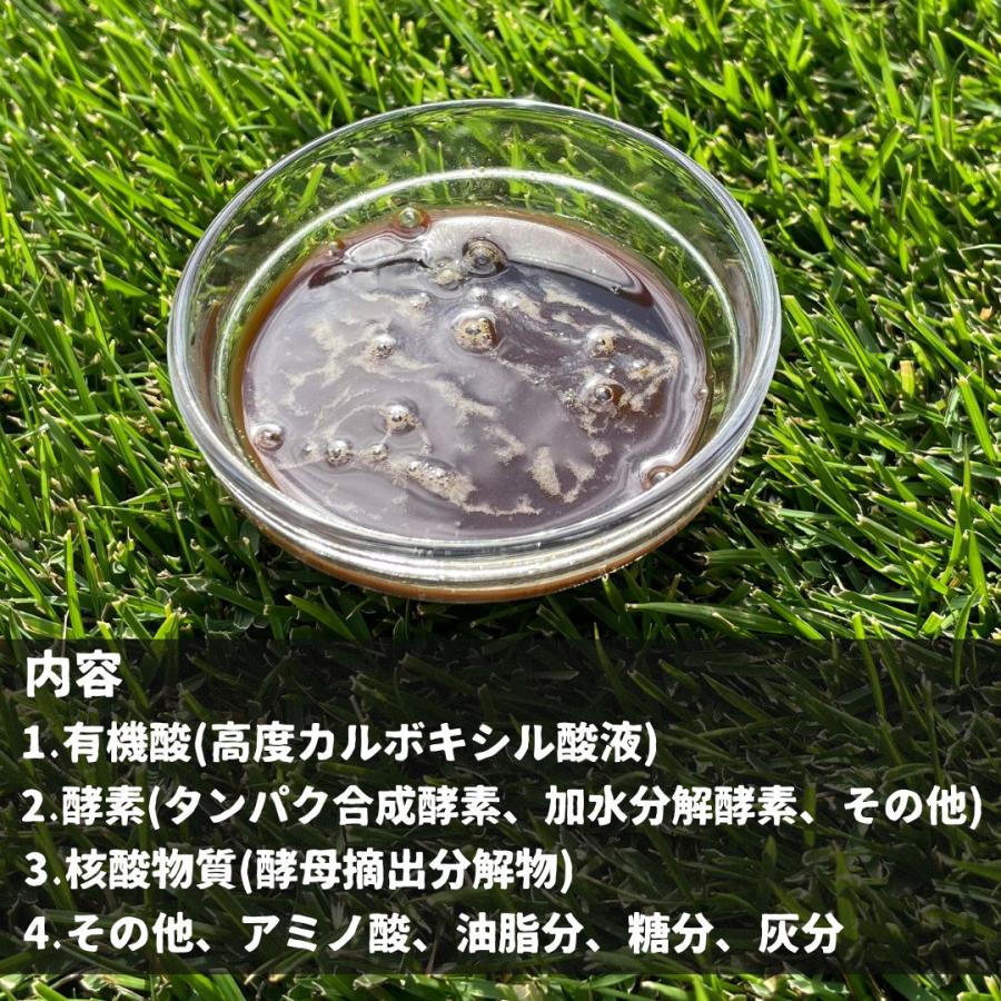 【お得なセット】有機酸酵素EX+殺虫剤パンチショットフロアブルの画像