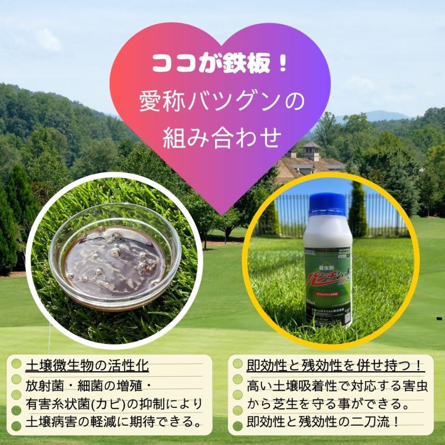 【お得なセット】有機酸酵素EX+殺虫剤パンチショットフロアブルの画像