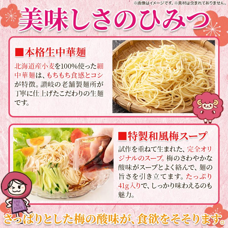 うめねぇちゃん 5食セット 梅の爽やかな酸味が食欲をそそる冷やし中華