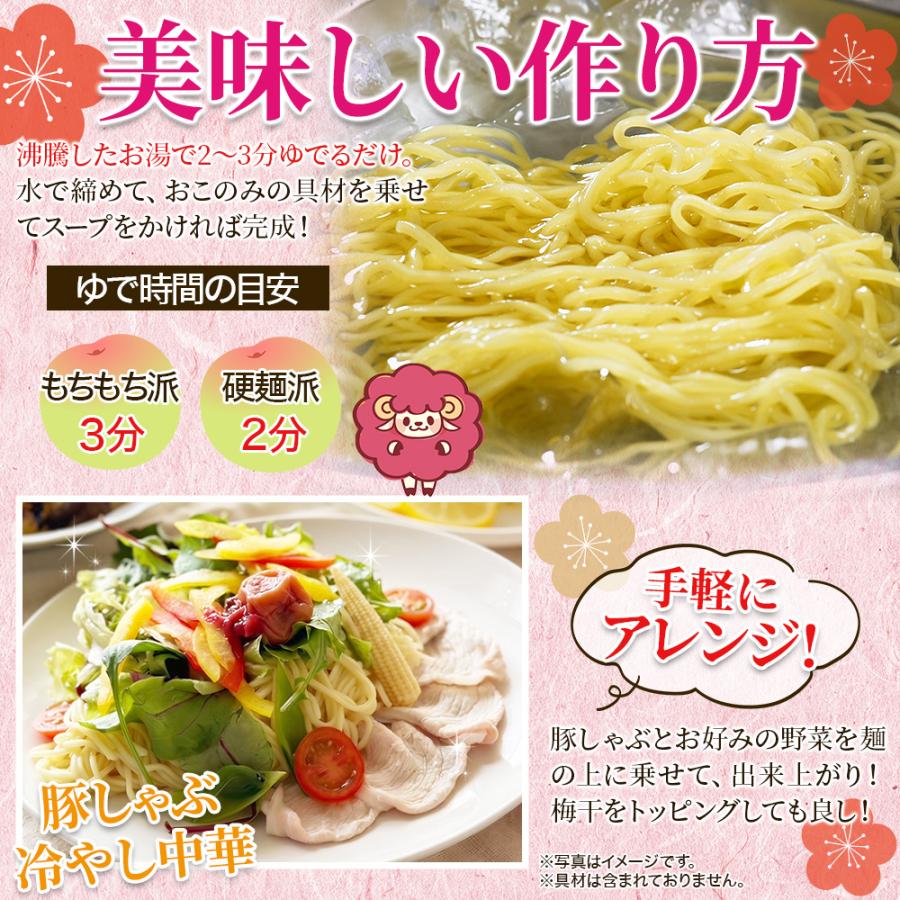 うめねぇちゃん 5食セット 梅の爽やかな酸味が食欲をそそる冷やし中華