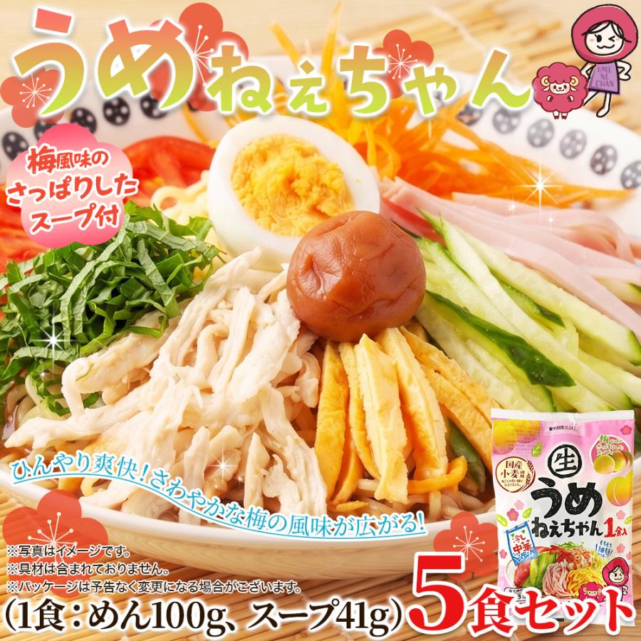 うめねぇちゃん 5食セット 梅の爽やかな酸味が食欲をそそる冷やし中華