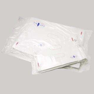 OGK Kabuto（オージーケーカブト） SKバッグ 10インチ ピザボックス