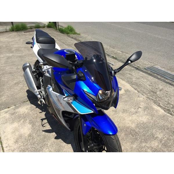 アクリポイント 4580423291552 品番:160221 SUZUKI GSX250Rスモーク