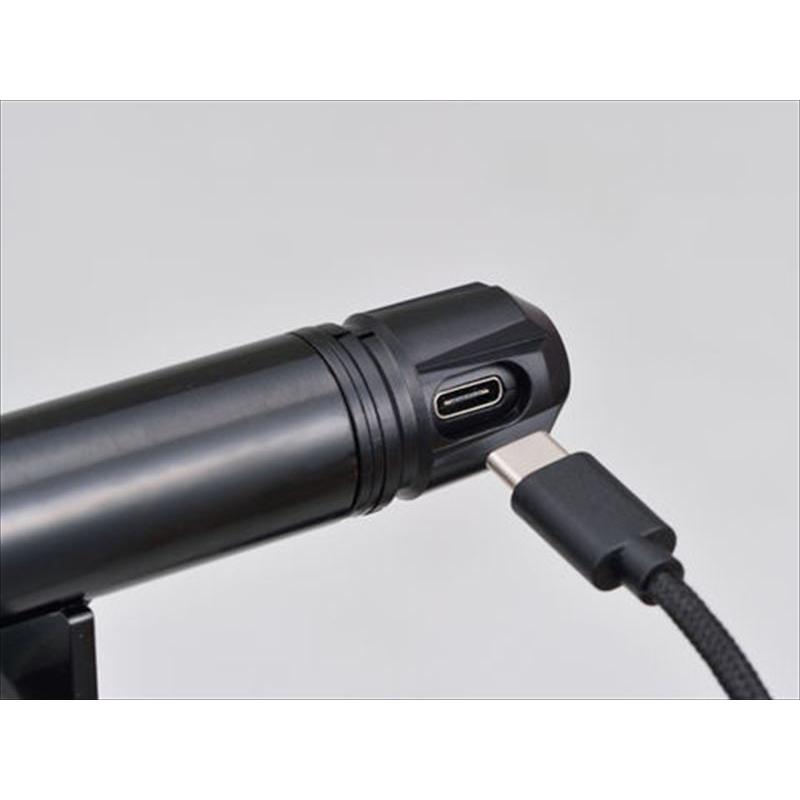 デイトナ 4909449564578 17671 マルチバーUSB電源 Type-C ステム