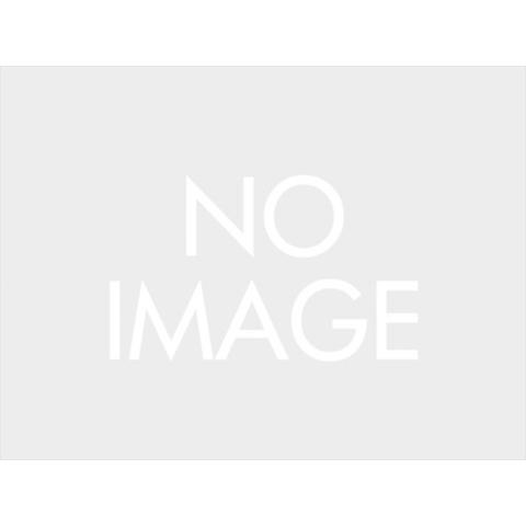 DYATONA デイトナ   4909449585061  25599 GIVI PLO2159CAM フィッティング