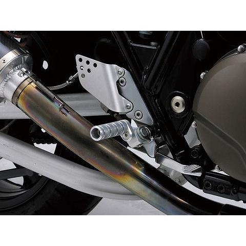 DAYTONA デイトナ 60623 マルチステップ KAWASAKI用 クリアアルマイト