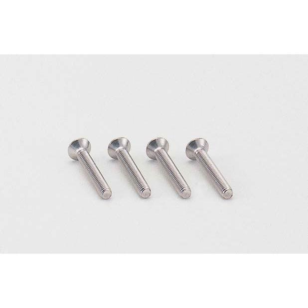 か様　　専用 4945716904616 ウィンカーレンズビス 4PCS ステン スリム＆シャープ