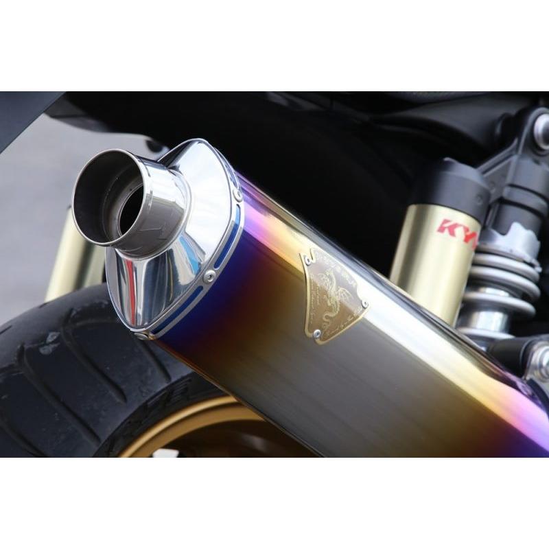 4582329783056 代引不可 r's gear アールズギア ワイバン シングル