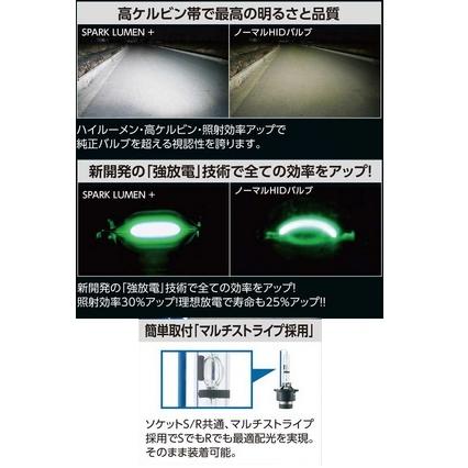RG アールジー 後継代替品番：RGH-RB670 4996327099864 HIDバルブ D2S