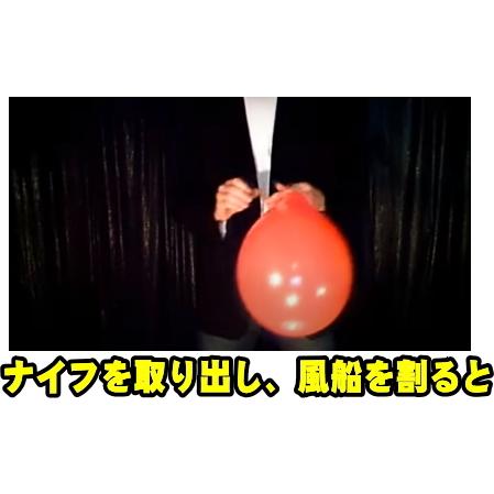 新しいコレクション 手品屋 風船を割るとシャンパンボトルに変化するマジック 忘年会 結婚式 宴会 お酒のプレゼントのサプライズに Wantannas Go Id