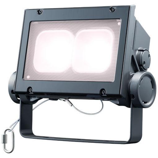 岩崎電気 送料無料 岩崎 ECF8040SW/WSAN8/DG レディオック フラッド