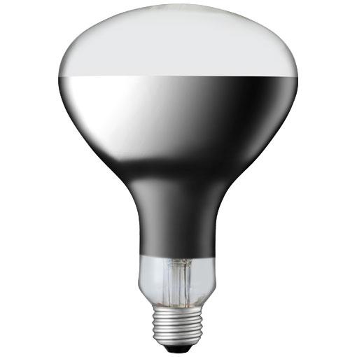 岩崎電気 岩崎 IR100/110V250WRH アイ R形赤外線電球 250W : てかりま