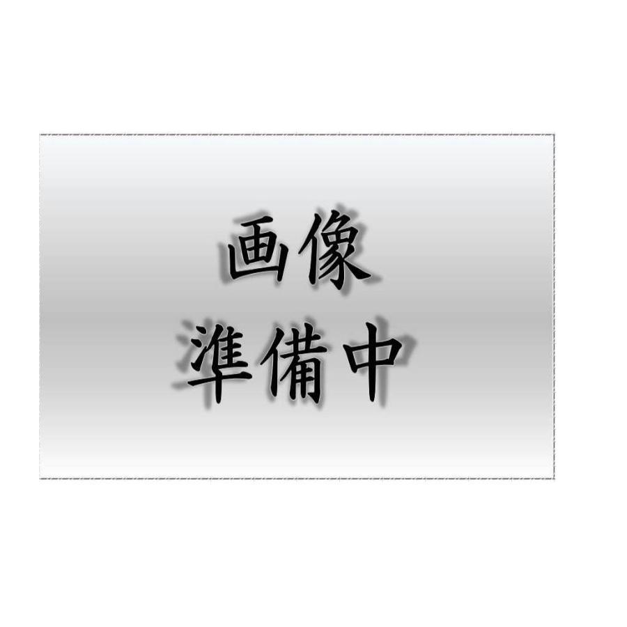 40形人感電池内蔵階段灯(新品未開梱) LEETS-4301Y-LD TOSHIBA（東芝） 東芝ライテック LEETS-4401Y-LD (LEETS4401YLD）40
