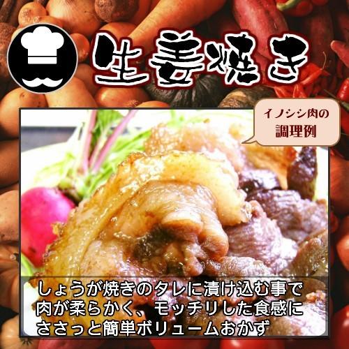 肩ロース ブロック 天然ジビエ イノシシ肉 猪肉 国産 島根 1 0kg 最大72 Offクーポン