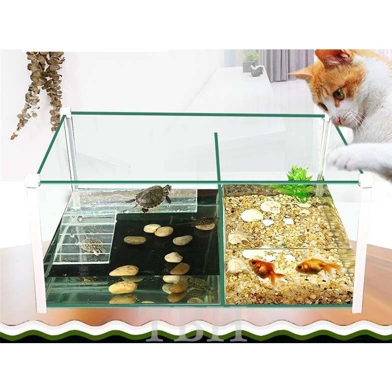 クリアランス公式店 亀ケージ カメ 魚 ガラス 給餌ボックス 爬虫類 両生類用 魚類 水族館 爬虫類段階 ボウル 亀水槽 カメの楽園 飼育ボックス ペット用品 魚 亀 混泳水槽 売り出し最安価格 Ssl Daikyogo Or Jp