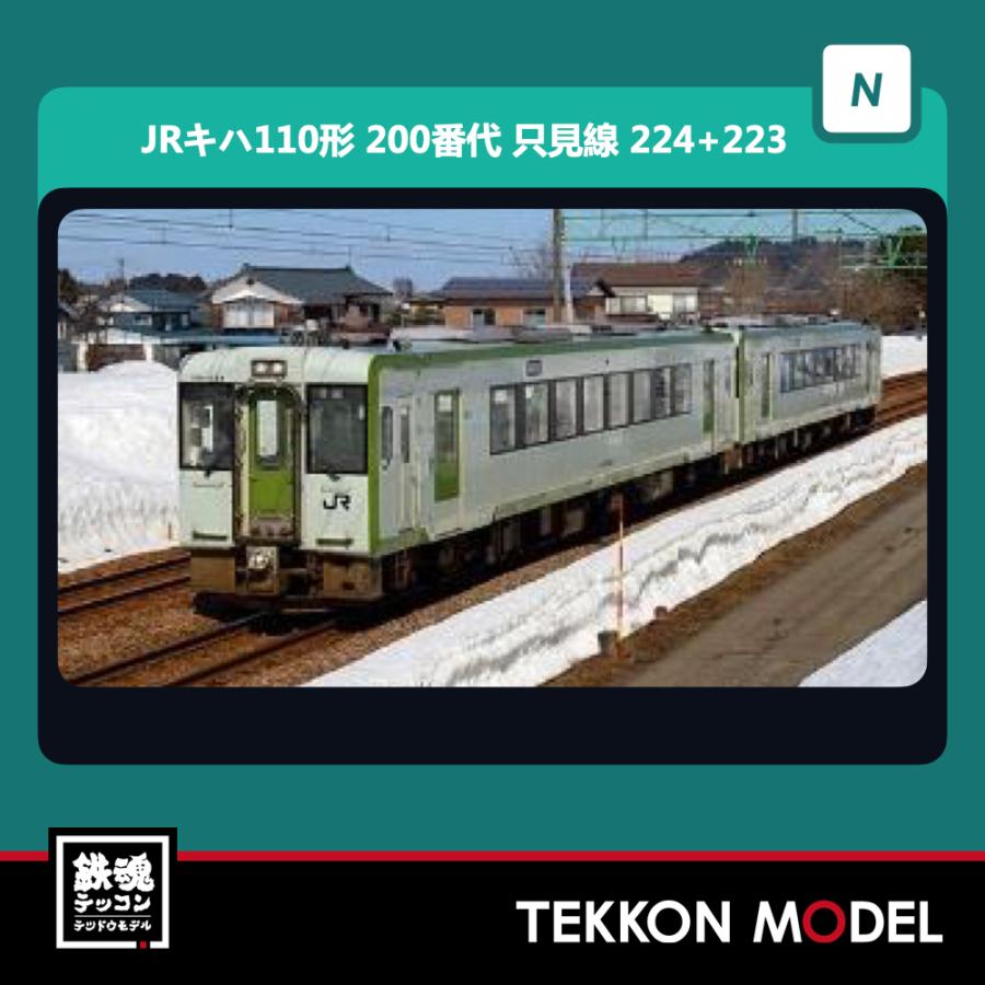 Nゲージ Greenmax 315 Jrキハ110形 0番代 只見線 224 223 2両編成セット 動力付き 21年10月販売 315 鉄魂模型 通販 Yahoo ショッピング